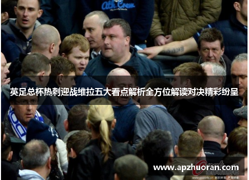 英足总杯热刺迎战维拉五大看点解析全方位解读对决精彩纷呈
