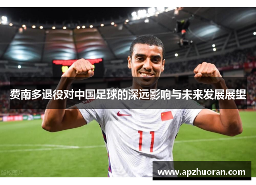 费南多退役对中国足球的深远影响与未来发展展望